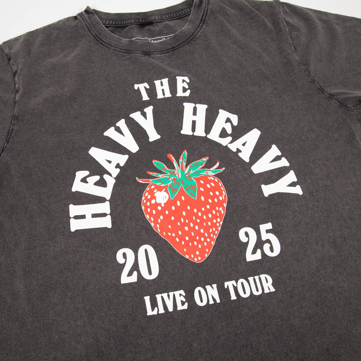 2025 Tour Tee - Washed Grey