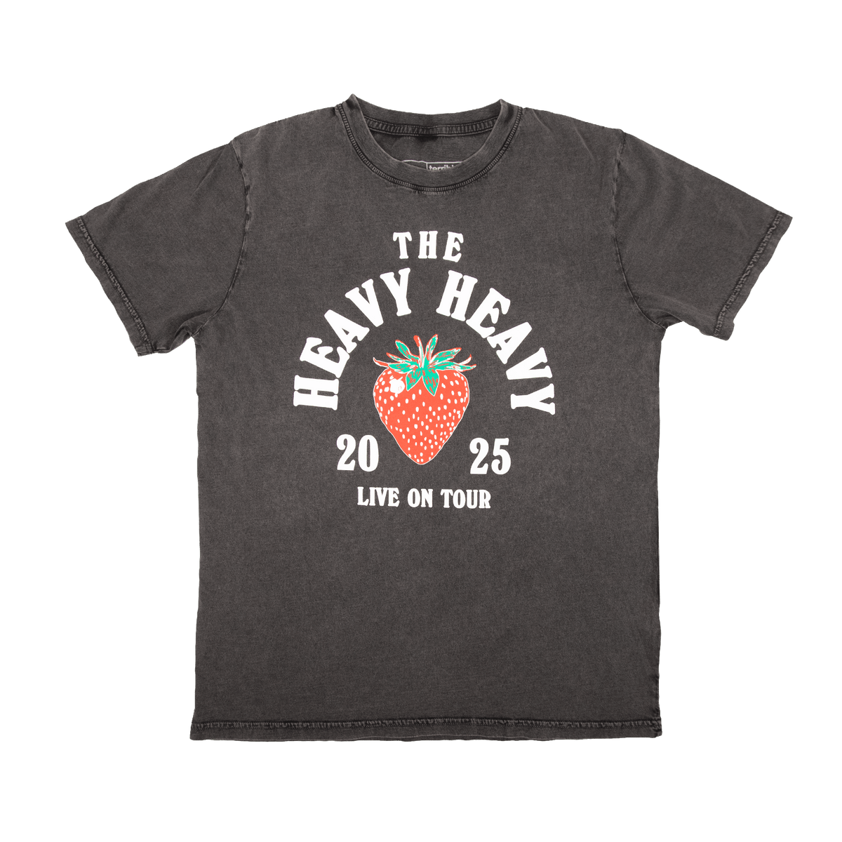2025 Tour Tee - Washed Grey